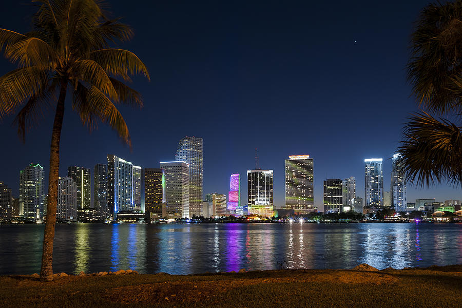 Miami Skyline