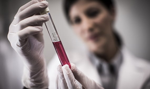 Researcher examines test tube